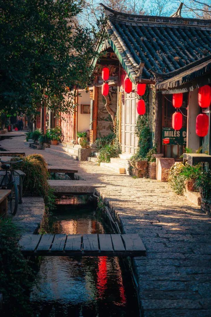 模拟山羊